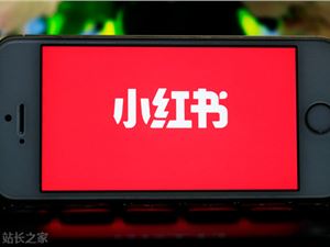 董洁小红书直播卖货3000万的背后启发?