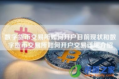 数字货币交易所如何开户目前现状和数字货币交易所如何开户交易详细介绍