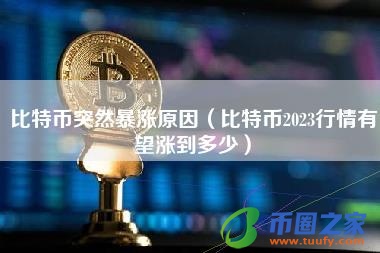 比特币突然暴涨原因(比特币2023行情有望涨到多少)