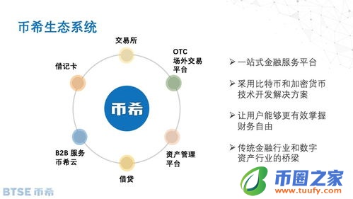 种子币什么网交易
