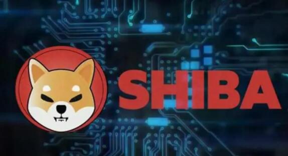 shib最新消息分析(SHIB今年以 23% 的价格涨幅超过狗狗币)