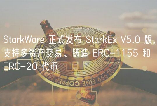StarkWare 正式发布 StarkE V5.0 版，支持多资产交易、铸造 ERC-1155 和 ERC-20 代币