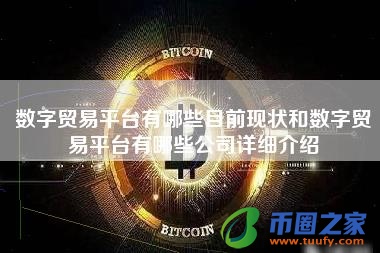 数字贸易平台有哪些目前现状和数字贸易平台有哪些公司详细介绍