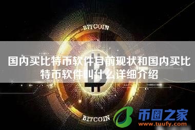 国内买比特币软件目前现状和国内买比特币软件叫什么详细介绍