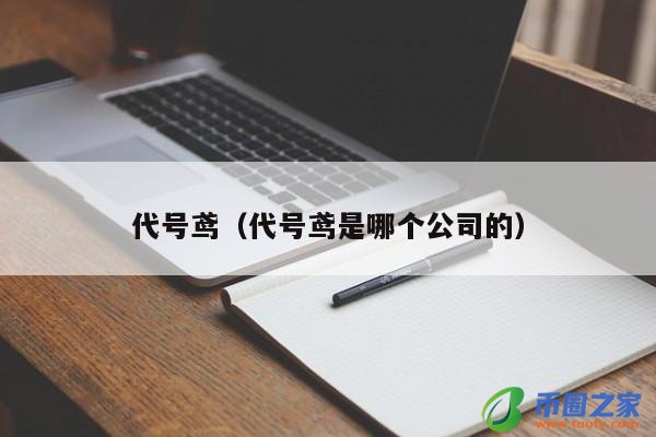 代号鸢（代号鸢是哪个公司的）