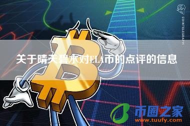 关于晴天碧水对ELA币的点评的信息
