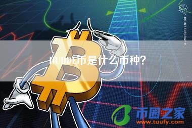 HUDDL币是什么币种?