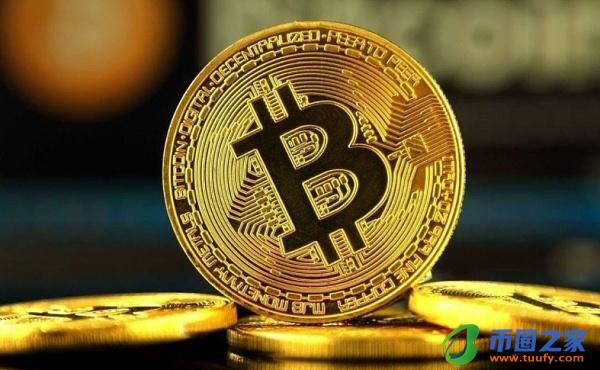 如何玩BT版植物大战僵尸,如何玩BT版的沙盒前院