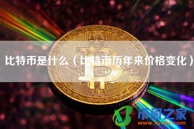 比特币是什么（比特币历年来价格变化）