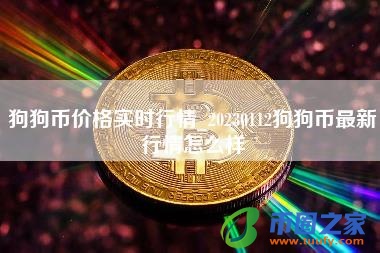 狗狗币价格实时行情_20230112狗狗币最新行情怎么样