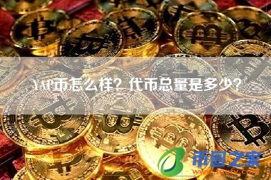 YAP币怎么样？代币总量是多少？