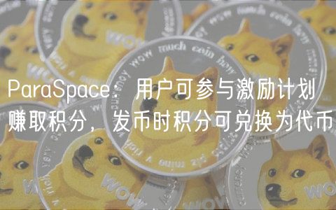 ParaSpace:用户可参与激励计划赚取积分,发币时积分可兑换为代币