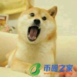 dogeking