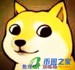 dogeking价格今日行情