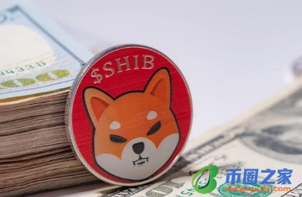 什么是柴犬硬币？
