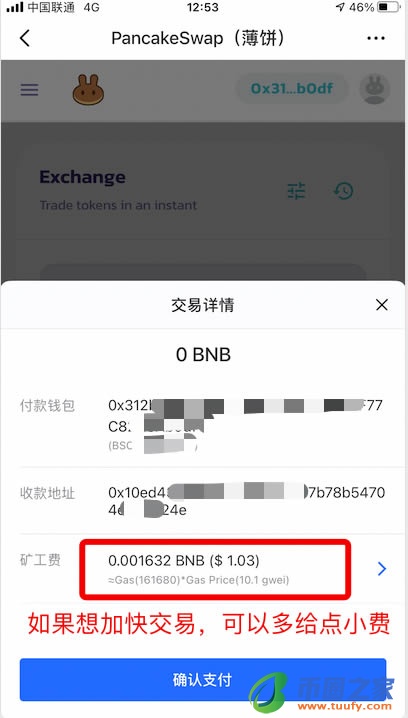在TP钱包的pancake购买项目教程插图13