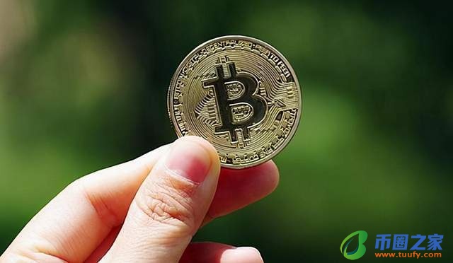比特币动态和静态有什么区别,比特币净值是什么意思