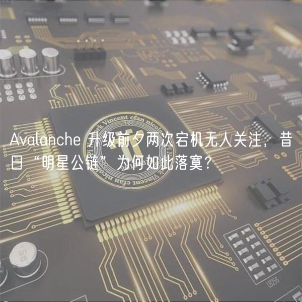 Avalanche 升级前夕两次宕机无人关注,昔日“明星公链”为何如此落寞?
