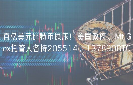 百亿美元比特币抛压!美国政府、Mt.Go托管人各持205514、137890BTC