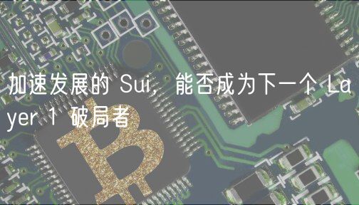 加速发展的 Sui，能否成为下一个 Layer 1 破局者