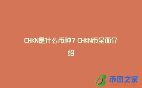 CHKN是什么币种？CHKN币全面介绍