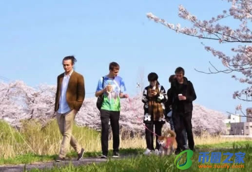 bone币怎么获得?bone币什么时候上线?插图3