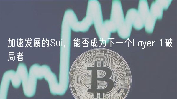 加速发展的Sui，能否成为下一个Layer 1破局者