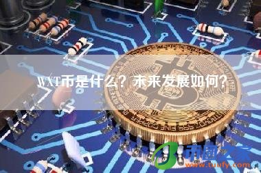 WXT币是什么？未来发展如何？