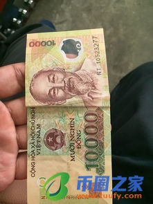rvn币挖矿显卡算力2021