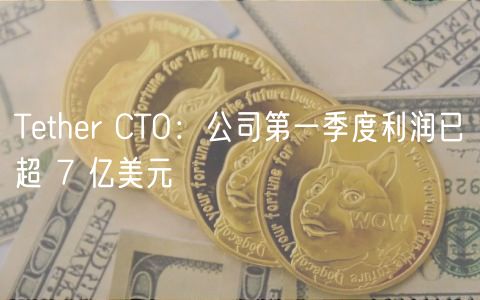 Tether CTO:公司第一季度利润已超 7 亿美元