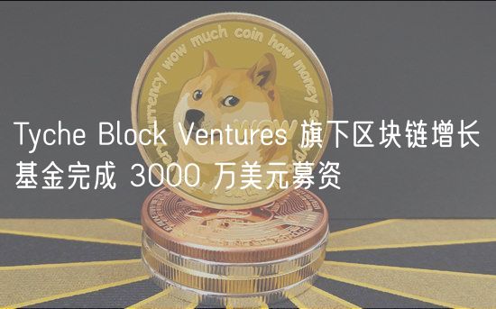 Tyche Block Ventures 旗下区块链增长基金完成 3000 万美元募资