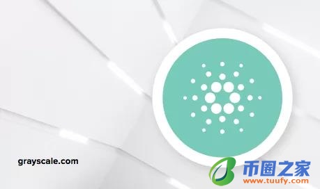 cardano币（最新消息）