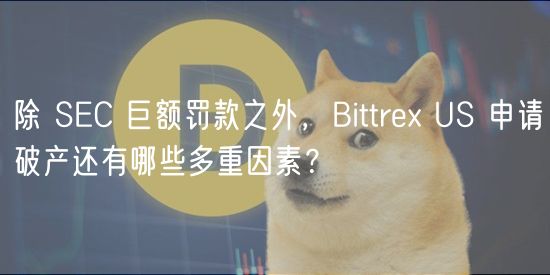 除 SEC 巨额罚款之外，Bittre US 申请破产还有哪些多重因素？