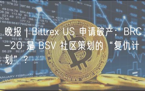 晚报｜Bittre US 申请破产；BRC-20 是 BSV 社区策划的“复仇计划”？