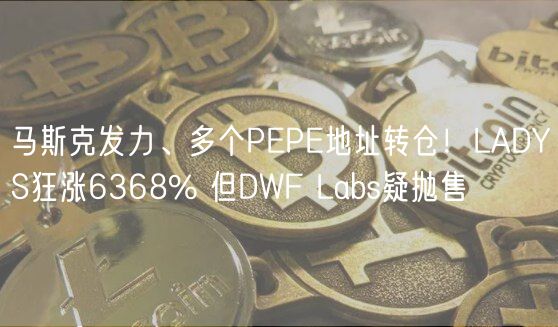 马斯克发力、多个PEPE地址转仓！LADYS狂涨6368% 但DWF Labs疑抛售