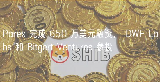 Pare 完成 650 万美元融资， DWF Labs 和 Bitgert Ventures 参投