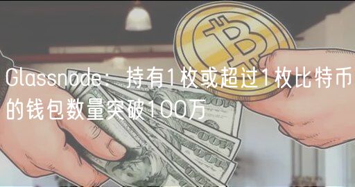 Glassnode：持有1枚或超过1枚比特币的钱包数量突破100万