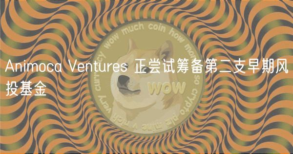 Animoca Ventures 正尝试筹备第二支早期风投基金