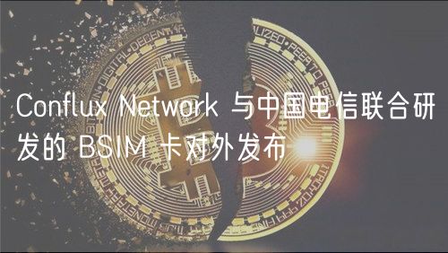 Conflu Network 与中国电信联合研发的 BSIM 卡对外发布