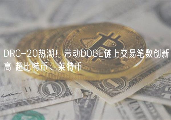 DRC-20热潮！带动DOGE链上交易笔数创新高 超比特币、莱特币