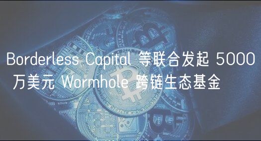 Borderless Capital 等联合发起 5000 万美元 Wormhole 跨链生态基金