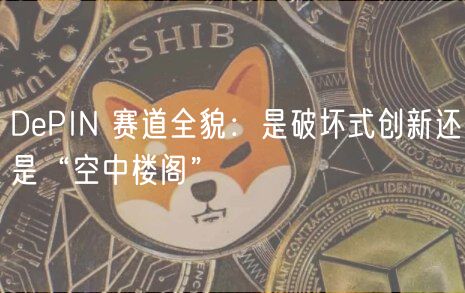 DePIN 赛道全貌：是破坏式创新还是“空中楼阁”
