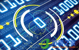 区块链技术 都学什么