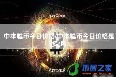 中本聪币今日价格(中本聪币今日价格是多少)