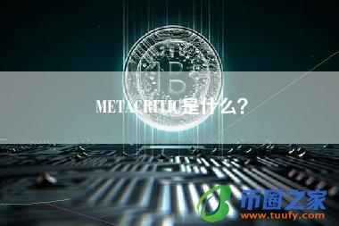 METACRITIC是什么?