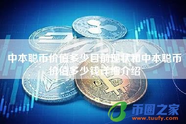 中本聪币价值多少目前现状和中本聪币价值多少钱详细介绍