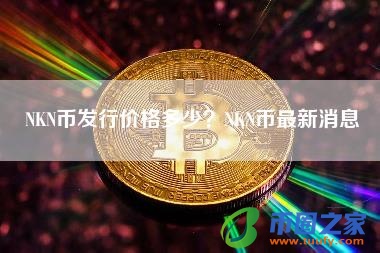 NKN币发行价格多少?NKN币最新消息