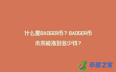 什么是BADGER币？BADGER币未来能涨到多少钱？