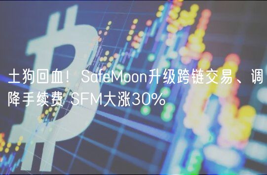 土狗回血！SafeMoon升级跨链交易、调降手续费 SFM大涨30%