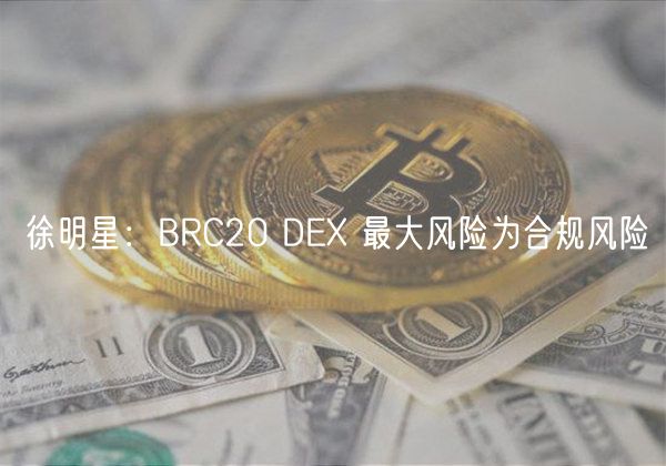 徐明星：BRC20 DE 最大风险为合规风险